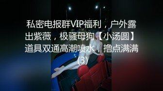 私密电报群VIP福利，户外露出紫薇，极骚母狗【小汤圆】道具双通高潮喷水，撸点满满 (3)