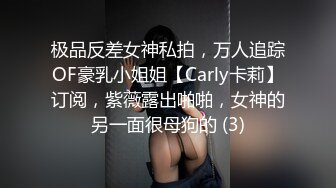 极品反差女神私拍，万人追踪OF豪乳小姐姐【Carly卡莉】订阅，紫薇露出啪啪，女神的另一面很母狗的 (3)