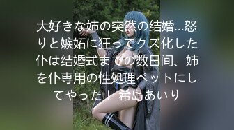 大好きな姉の突然の结婚…怒りと嫉妬に狂ってクズ化した仆は结婚式までの数日间、姉を仆専用の性処理ペットにしてやった！ 希岛あいり