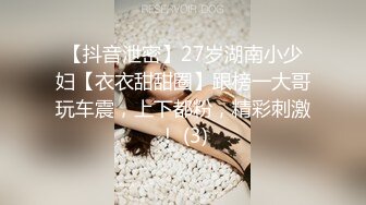 【抖音泄密】27岁湖南小少妇【衣衣甜甜圈】跟榜一大哥玩车震，上下都粉，精彩刺激！ (3)