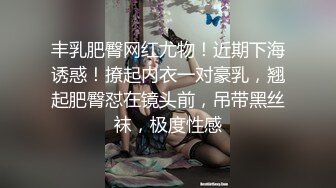 丰乳肥臀网红尤物！近期下海诱惑！撩起内衣一对豪乳，翘起肥臀怼在镜头前，吊带黑丝袜，极度性感