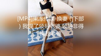 [MP4]果冻传媒-换妻（下部）我操了领导老婆 领导非得操我老婆