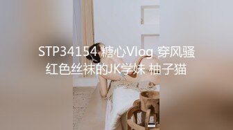 STP34154 糖心Vlog 穿风骚红色丝袜的JK学妹 柚子猫