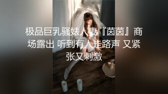 极品巨乳骚婊人妻『茵茵』商场露出 听到有人走路声 又紧张又刺激