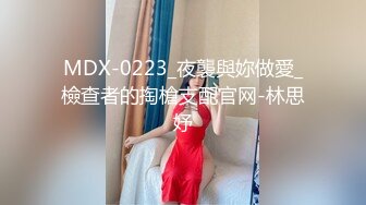 MDX-0223_夜襲與妳做愛_檢查者的掏槍支配官网-林思妤