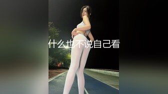 什么也不说自己看