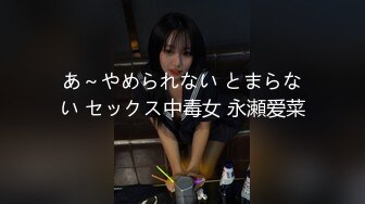 あ～やめられない とまらない セックス中毒女 永瀬爱菜